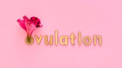 Žene lakše dožive orgazam tijekom ovulacije ovulacija i G-točka, G-točka i menstrualni ciklus, orgazam tijekom ovulacije
