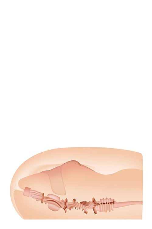 ZERO TOLERANCE SASHA GREY STROKER FLESH BOJE