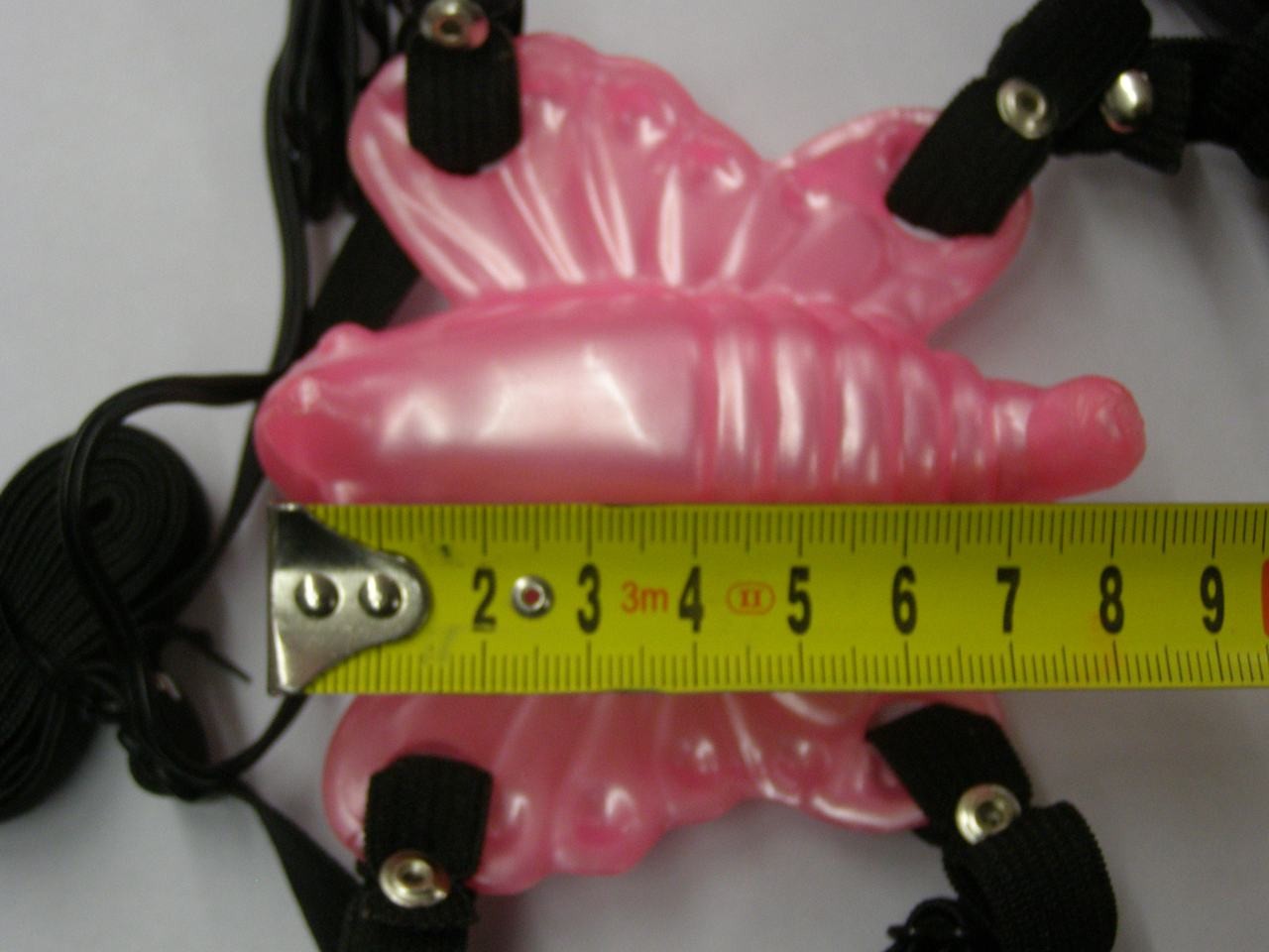 Leptir Venera