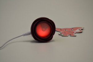Rose Flash