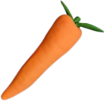 The Carrot | 10 Speed Vibrating Veggie